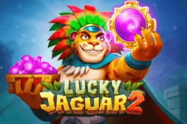 finci win